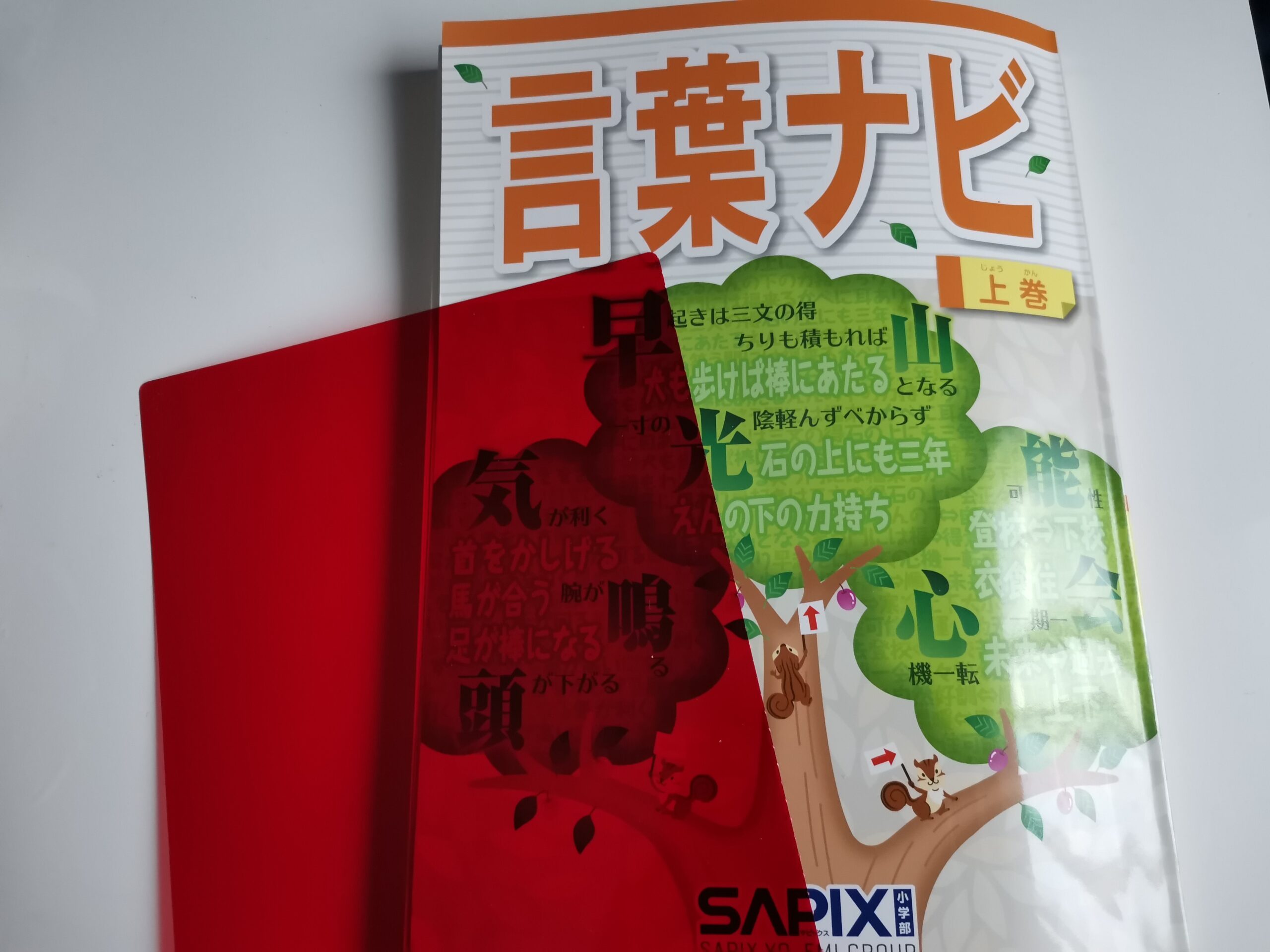 SAPIX 言葉の学び コトノハ 基礎編 発展編 Amazon.co.jp: サピックス 国語 コトノハ 基礎編 発展編 言葉